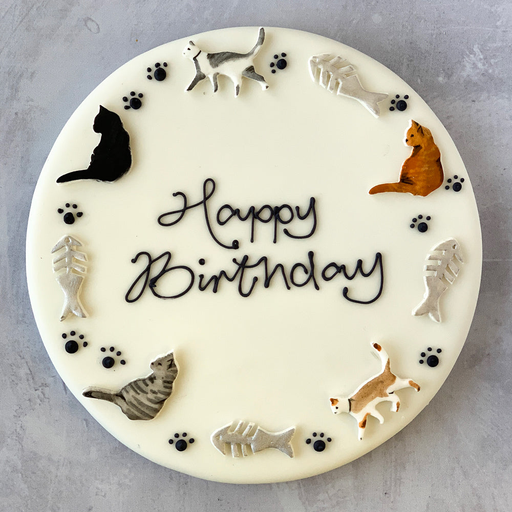 Kitty Celebration Cake