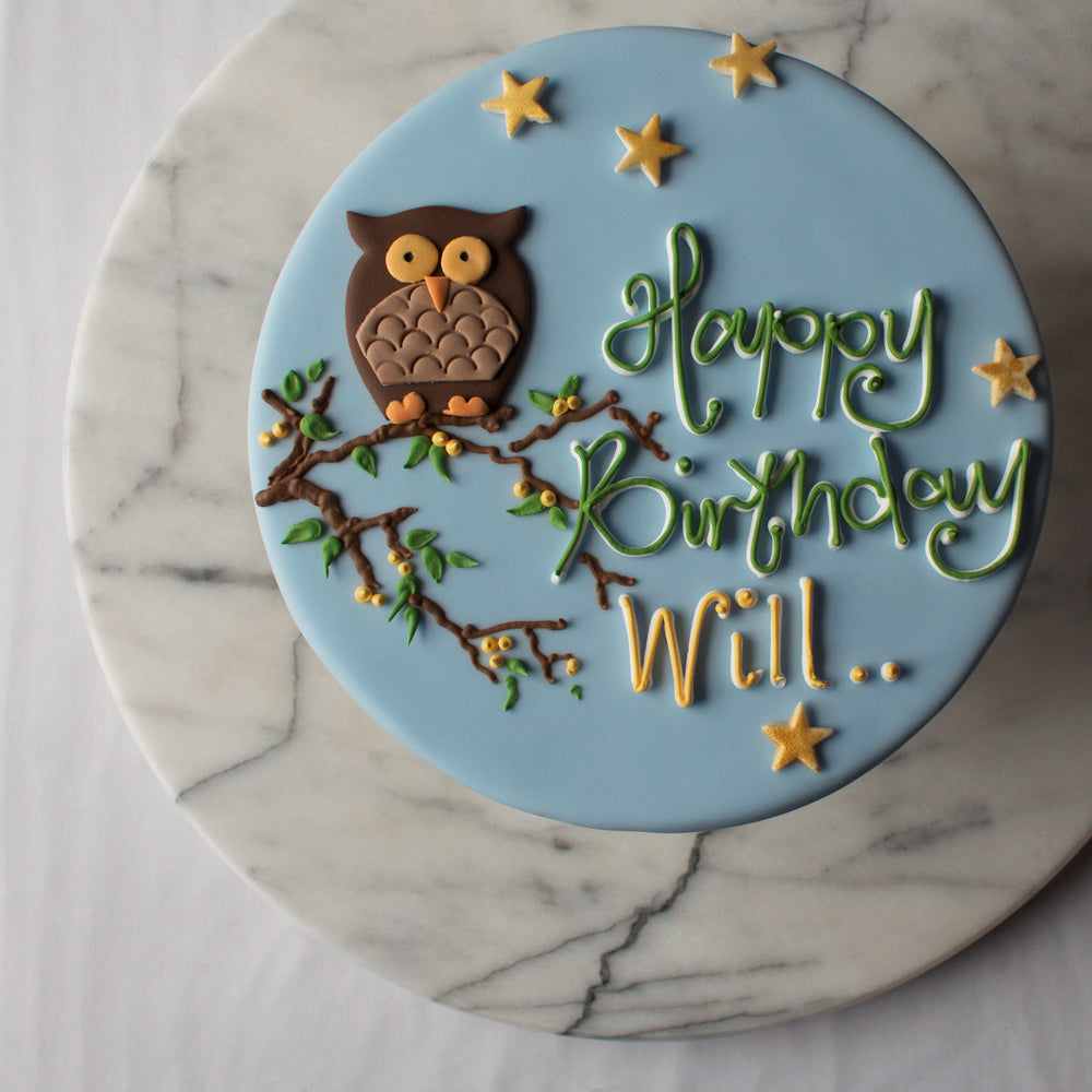 Mr Owl Celebration Cake