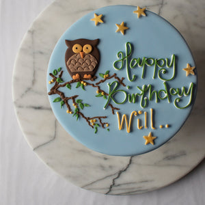 Mr Owl Celebration Cake
