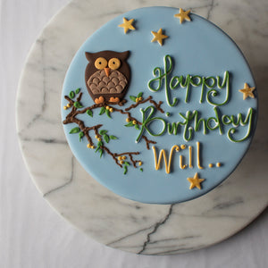 
            
                Load image into Gallery viewer, Mr Owl Celebration Cake
            
        